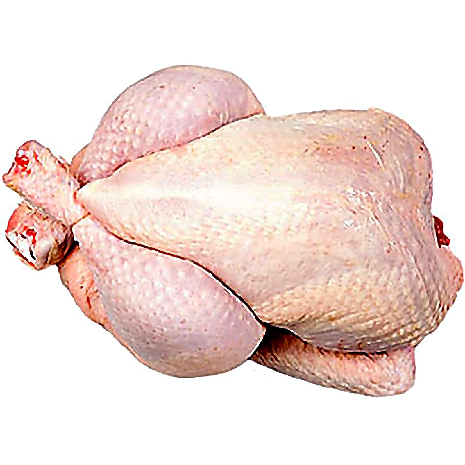 Chicken — example