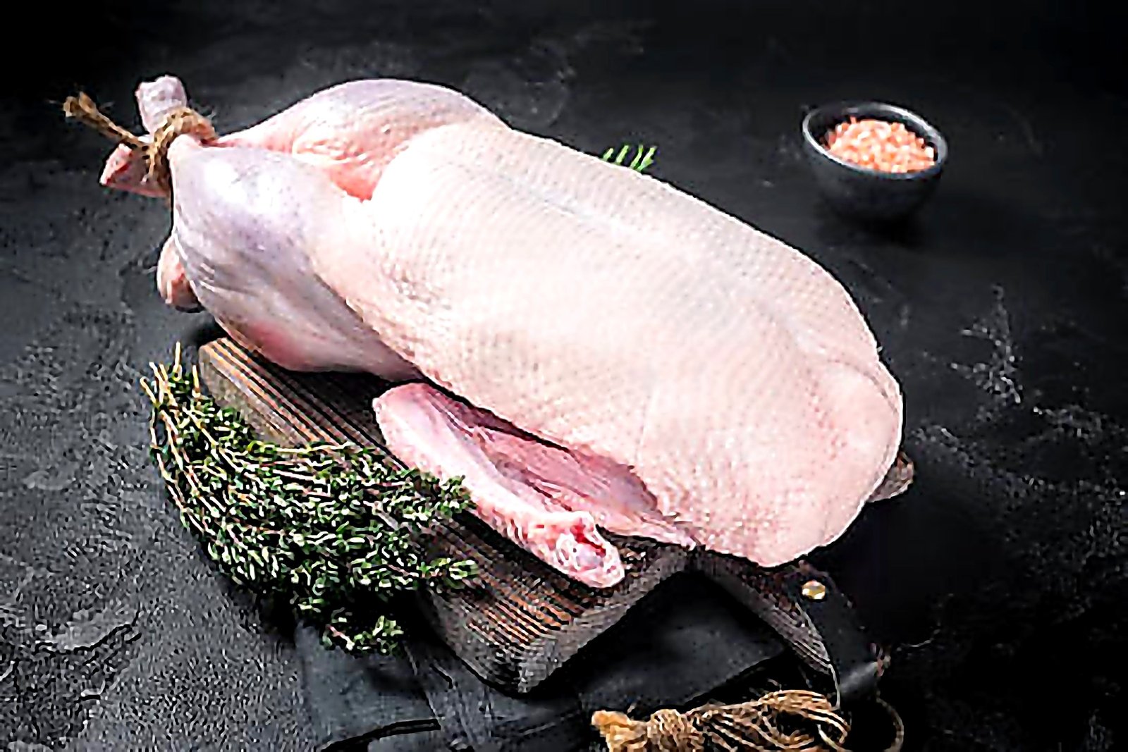 Duck