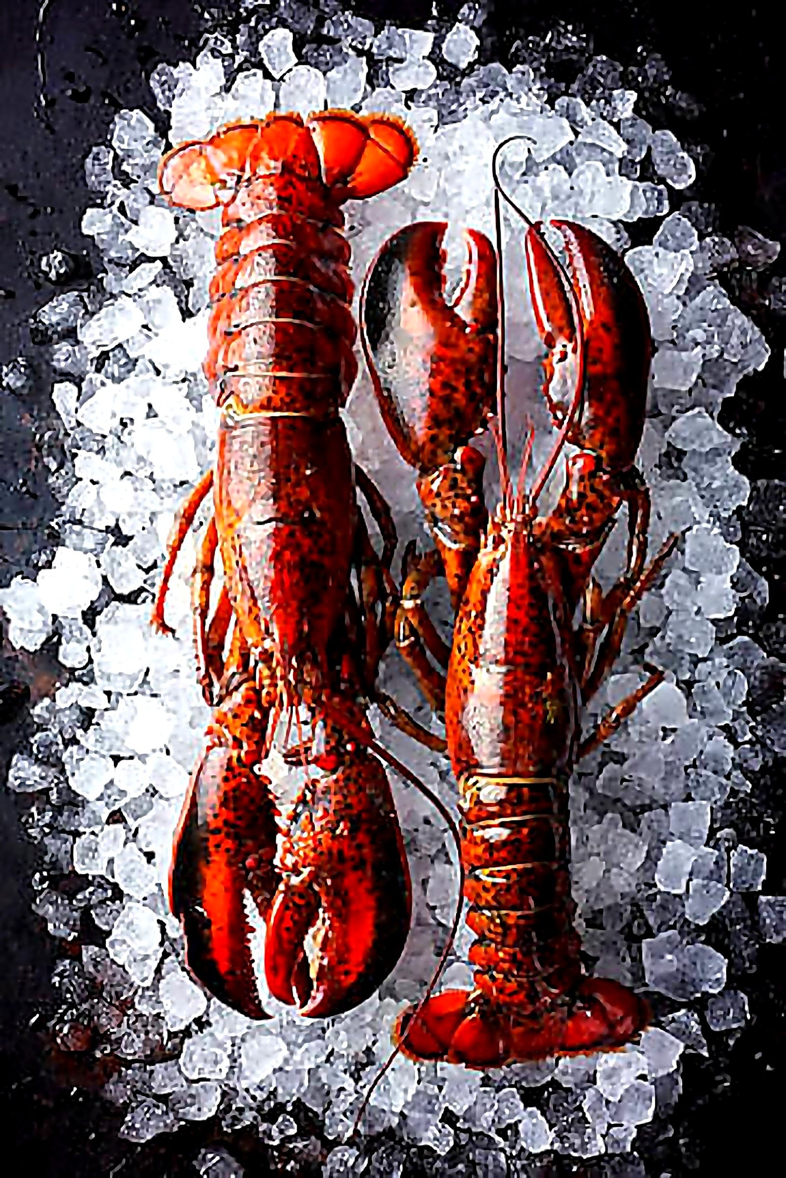 Lobster