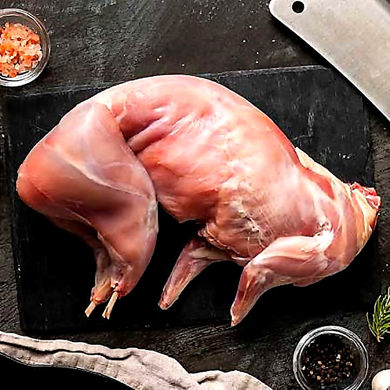 Rabbit