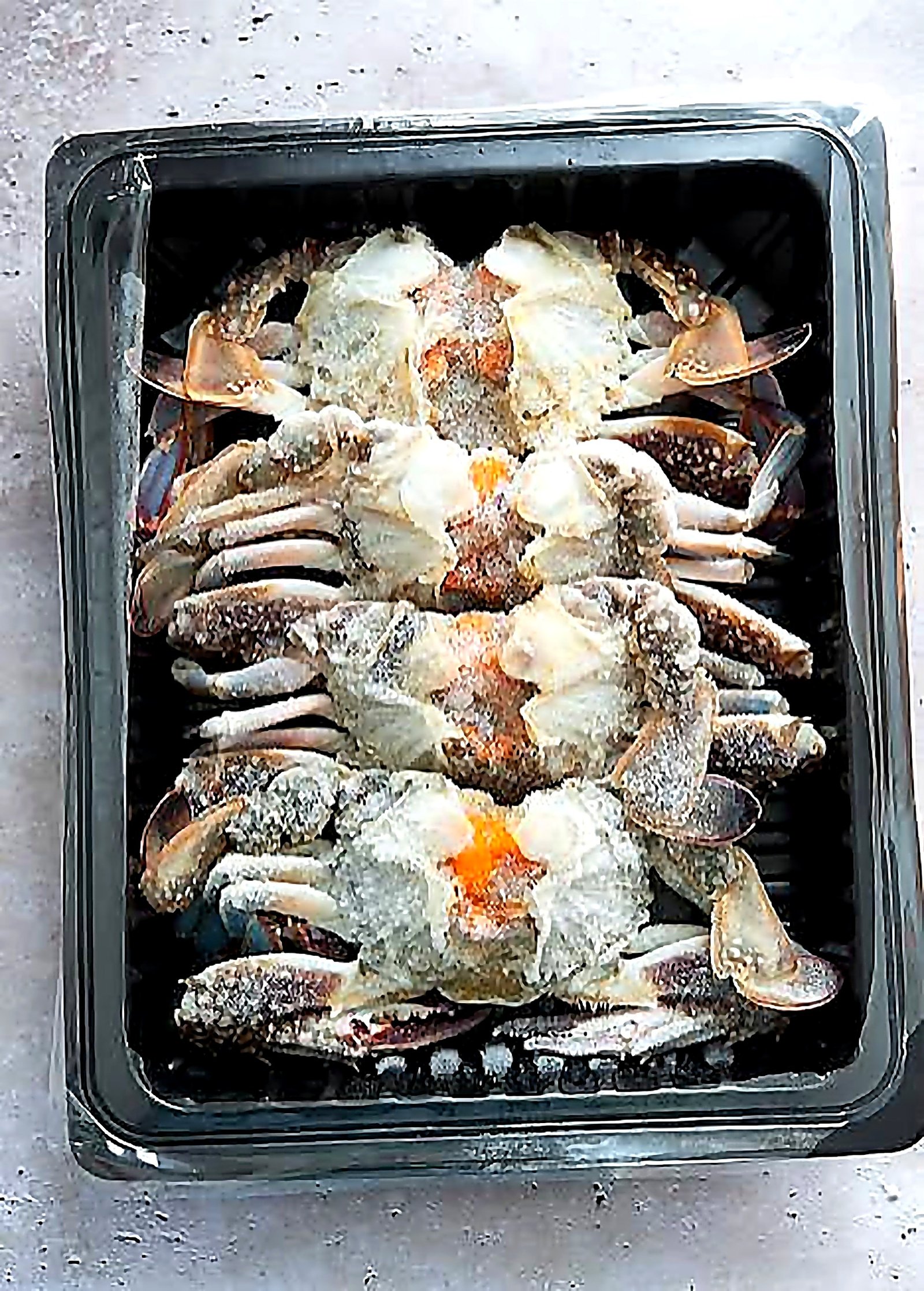 Seafood — example
