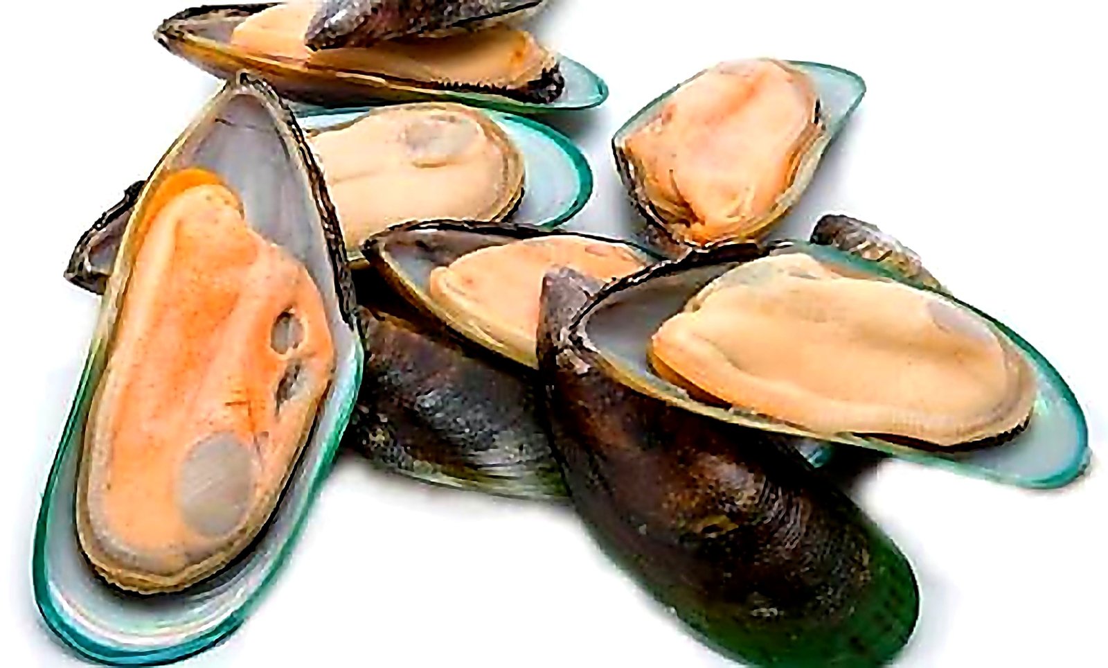 Seafood — example